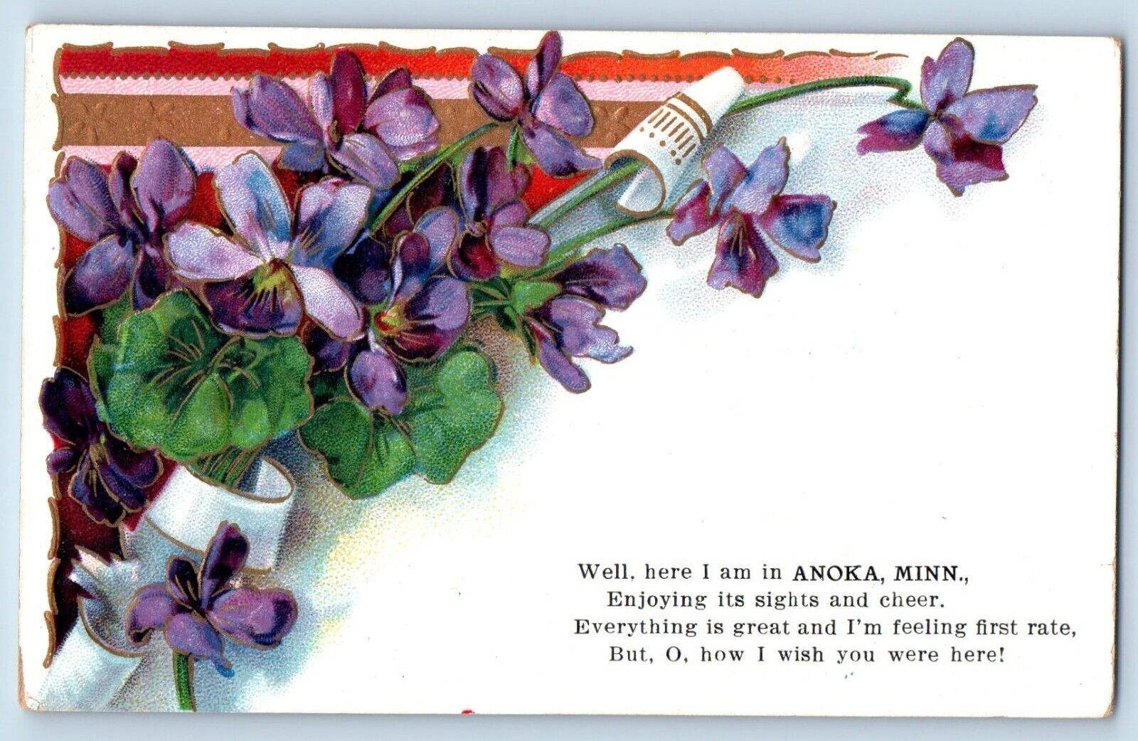 Anoka Minnesota MN Postcard Flower Embossed Poem Exterior c1910 Vintage Antique