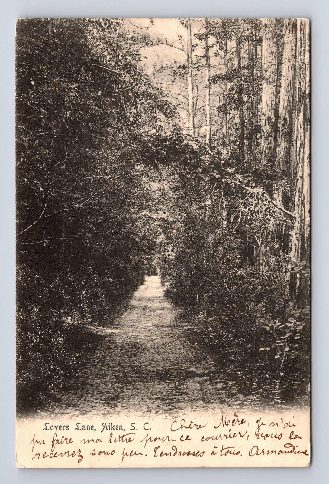 1905 ROTOGRAPH Aiken SC View of Lover\'s Lane Posted to Paris France Postcard