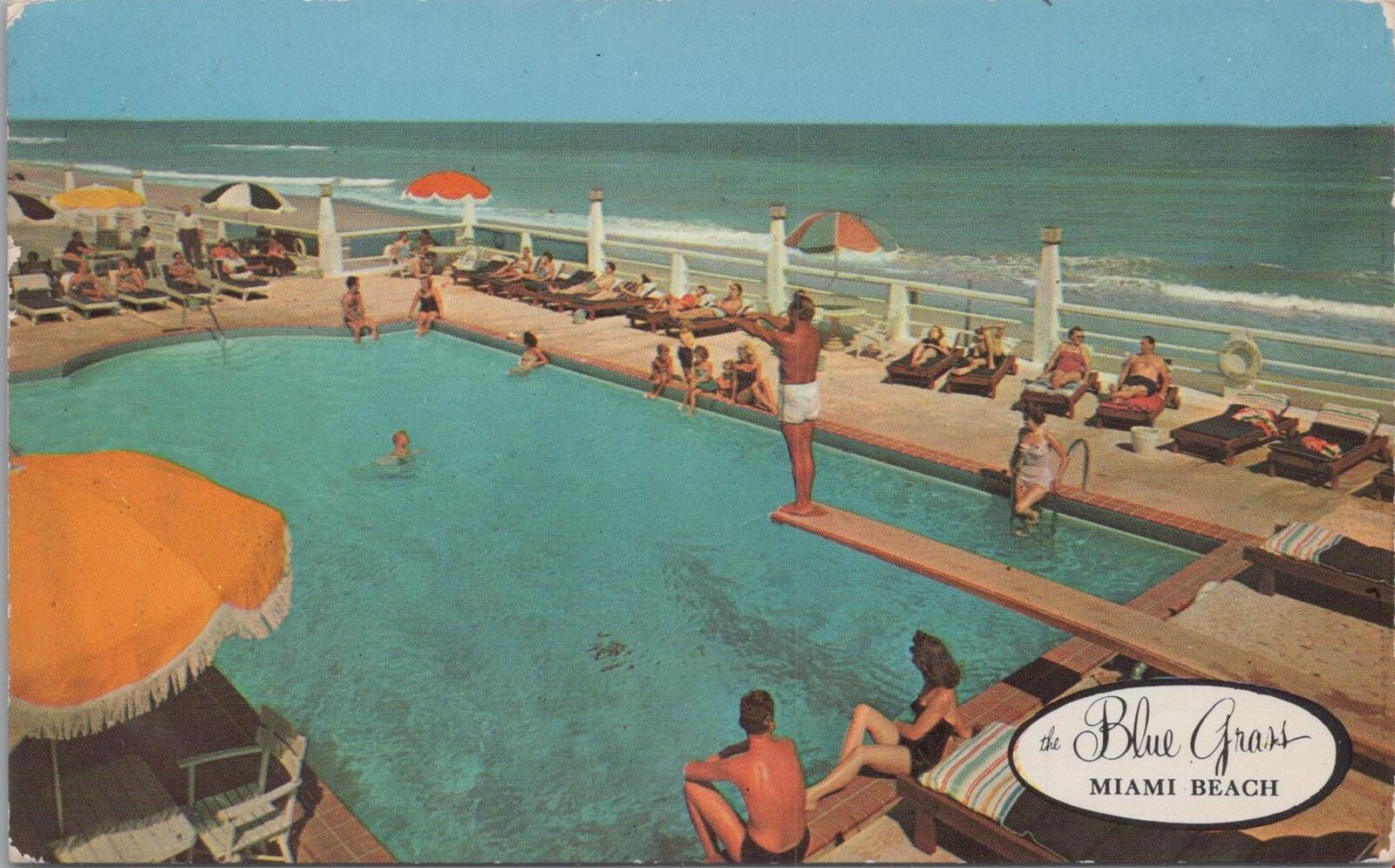 Postcard Blue Grass Hotel Miami Beach FL 1955 Swimming Pool 