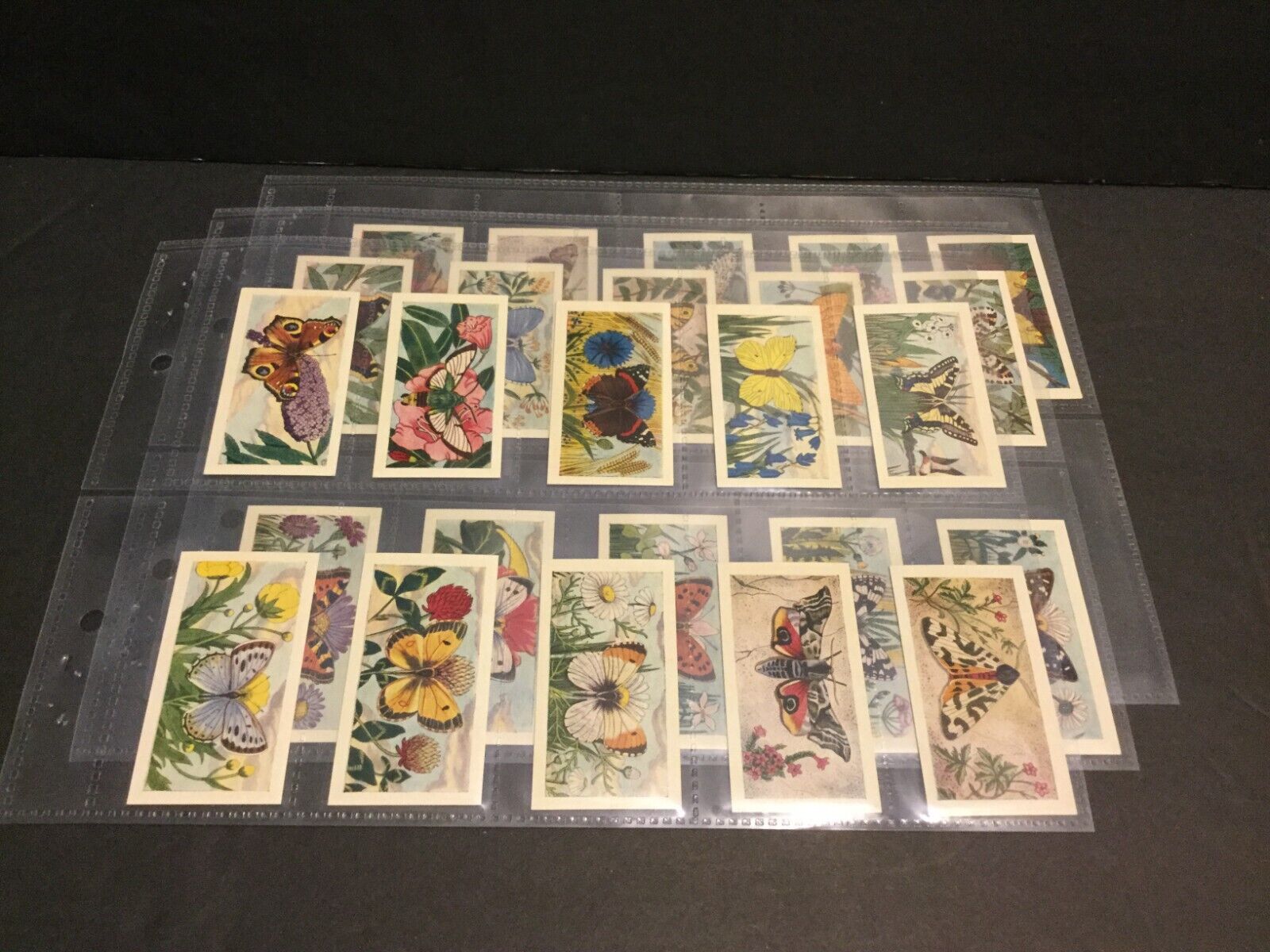 1960 Barratt Butterflies and Moths Set of 25 Cards Sku31S