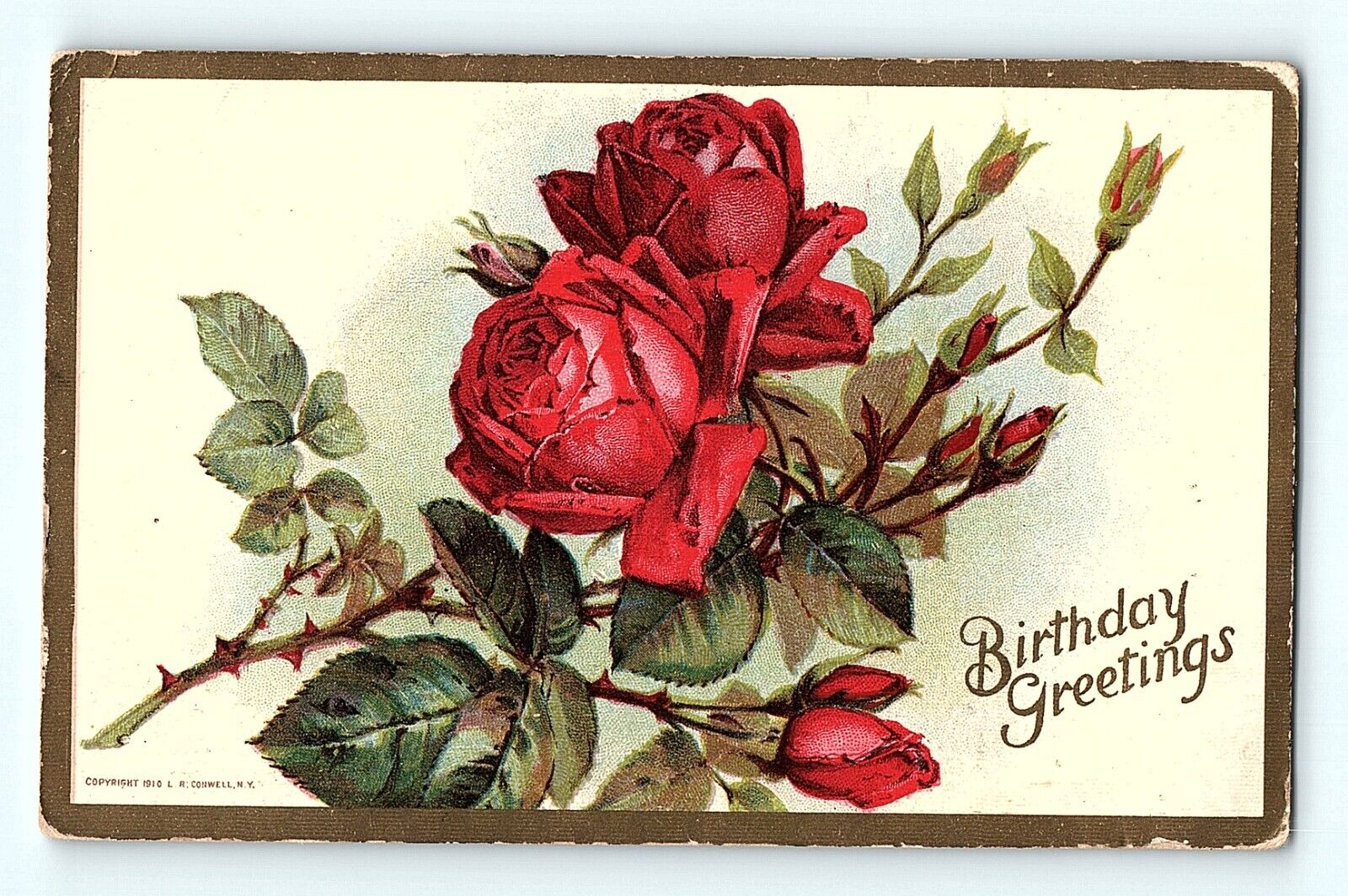 Birthday Greetings Thorns Natural Red Roses Buds 1910 Conwell Vintag Postcard E5