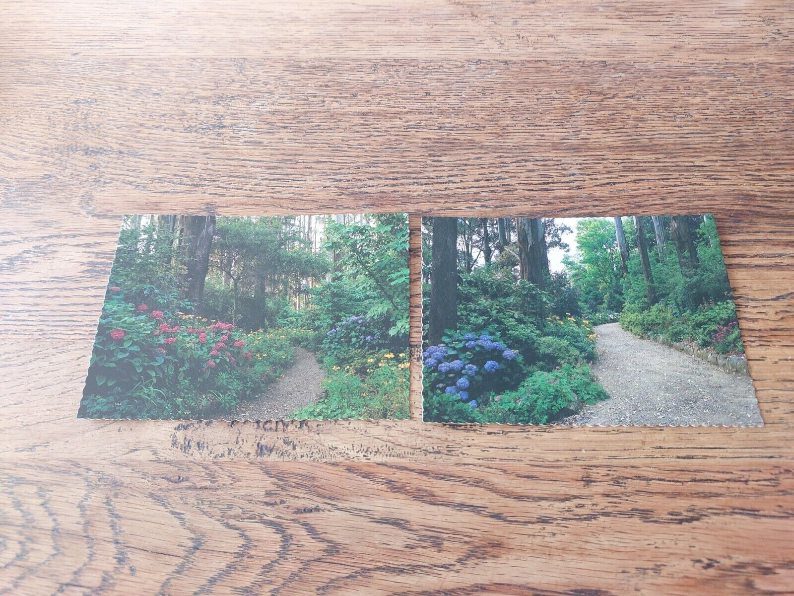 George Tindale Memorial Gardens, Sherbrooke VIC 2 Vintage Photo Postcards 
