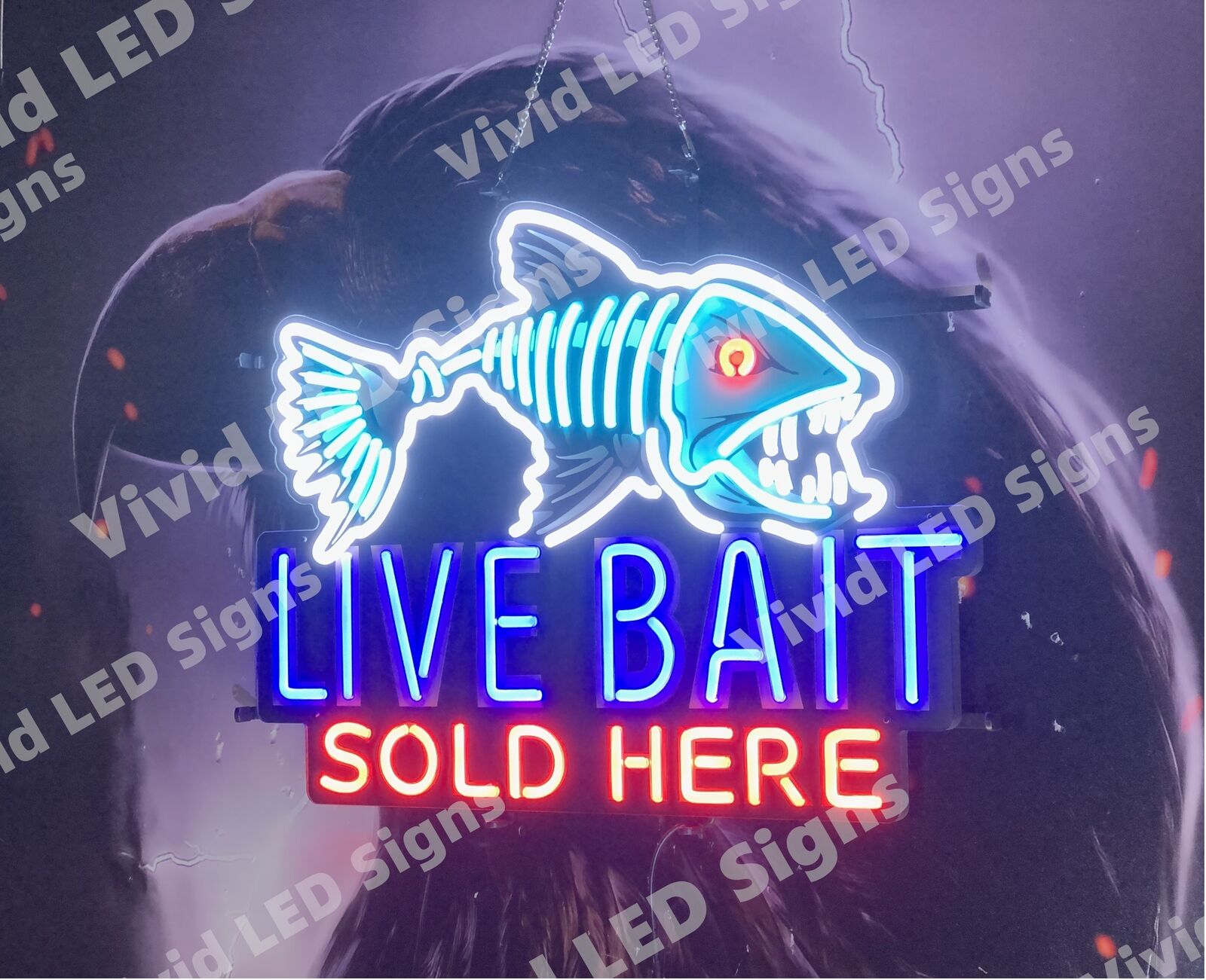 Live Bait Sold Here Fish 24\