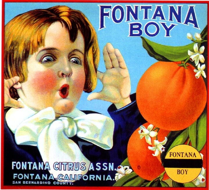 Fontana San Bernardino County Fontana Boy Orange Citrus Fruit Crate Label Print