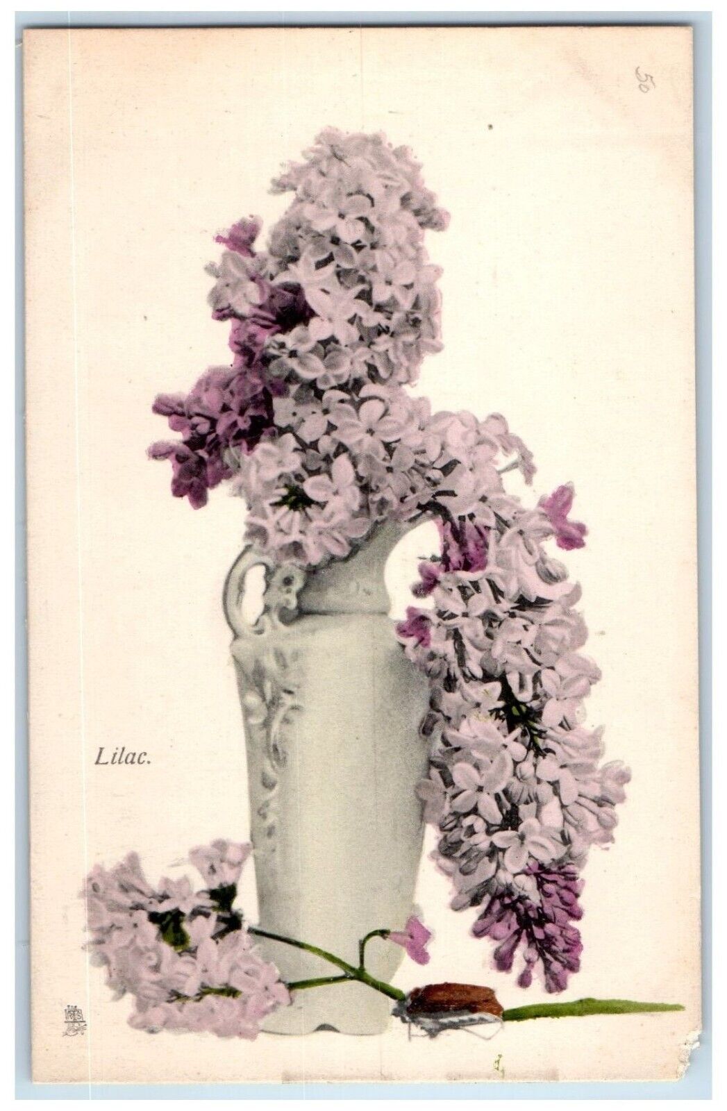c1910\'s Lilac Flowers In Vase Tuck\'s Unposted Antique Postcard