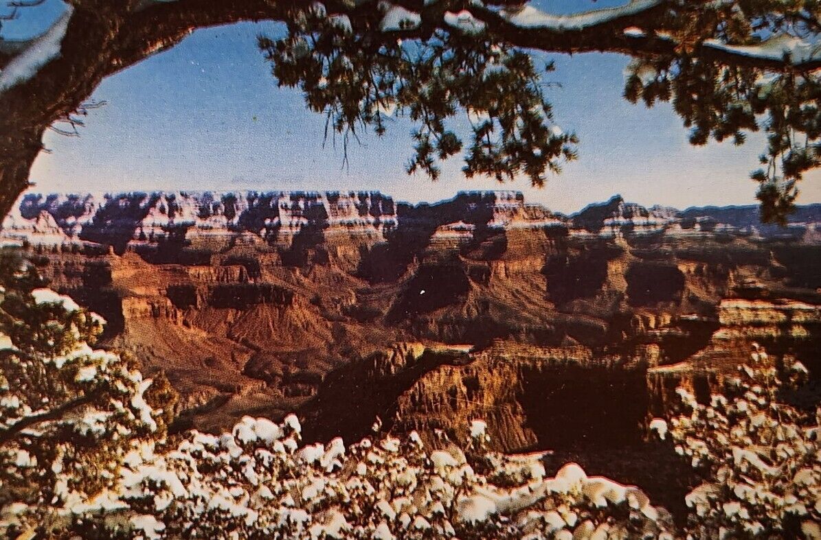 Grand Canyon National Park Landscape AZ Postcard Posted 1953