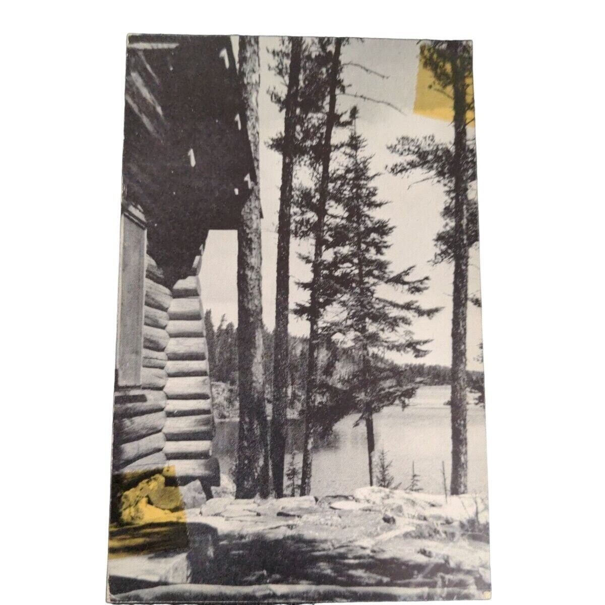 Postcard Brainerd Minnesota Woods Cabin Trees Lake Vintage Unposted