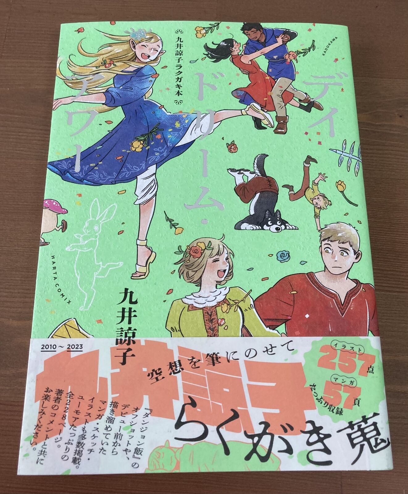 Ryoko Kui Doodle Book Daydream Hour Illustration Art Book Delicious in Dungeon