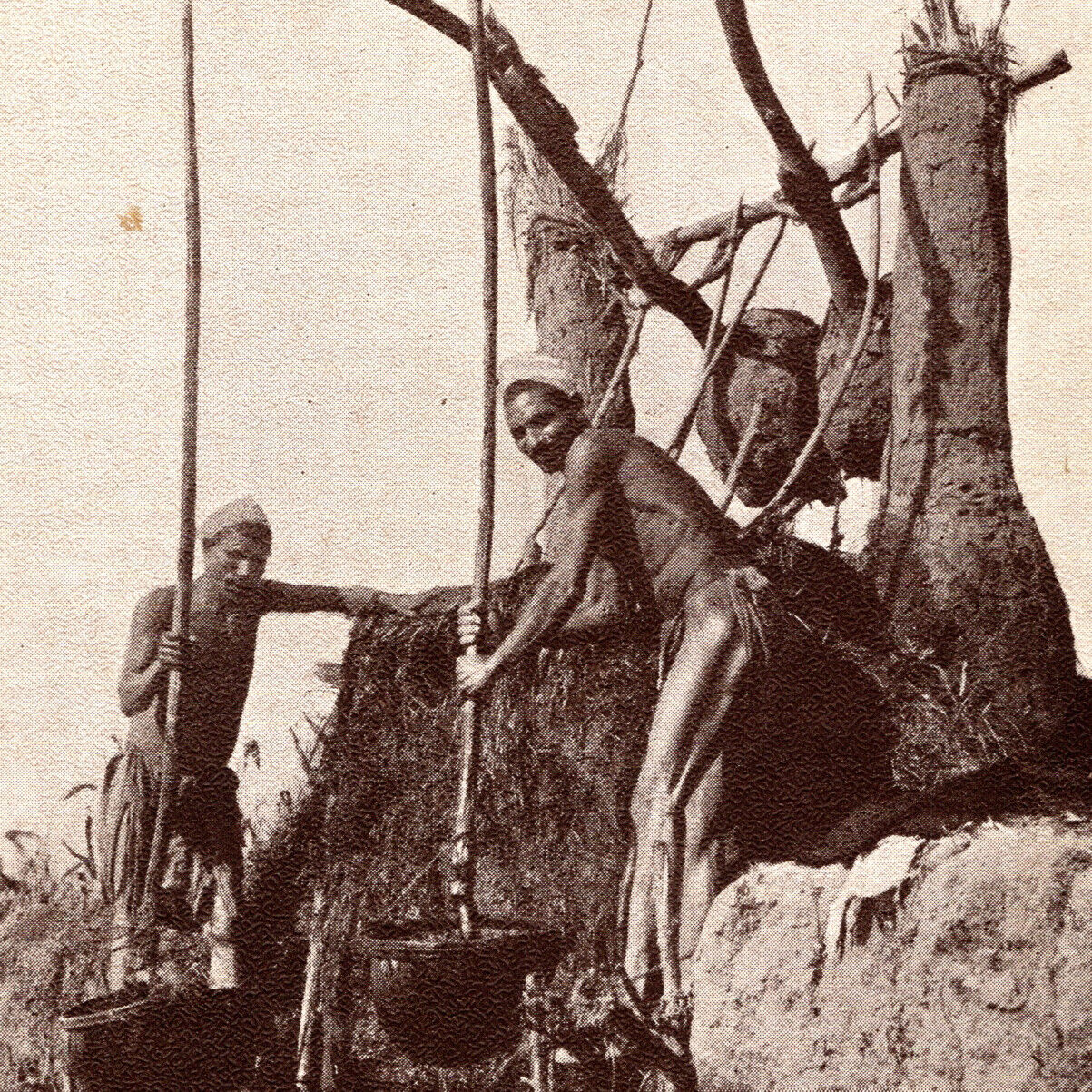 Vintage 1900s Luxor Shadouf On Nile Men Postcard Shadoof Shaduf Water Irrigation