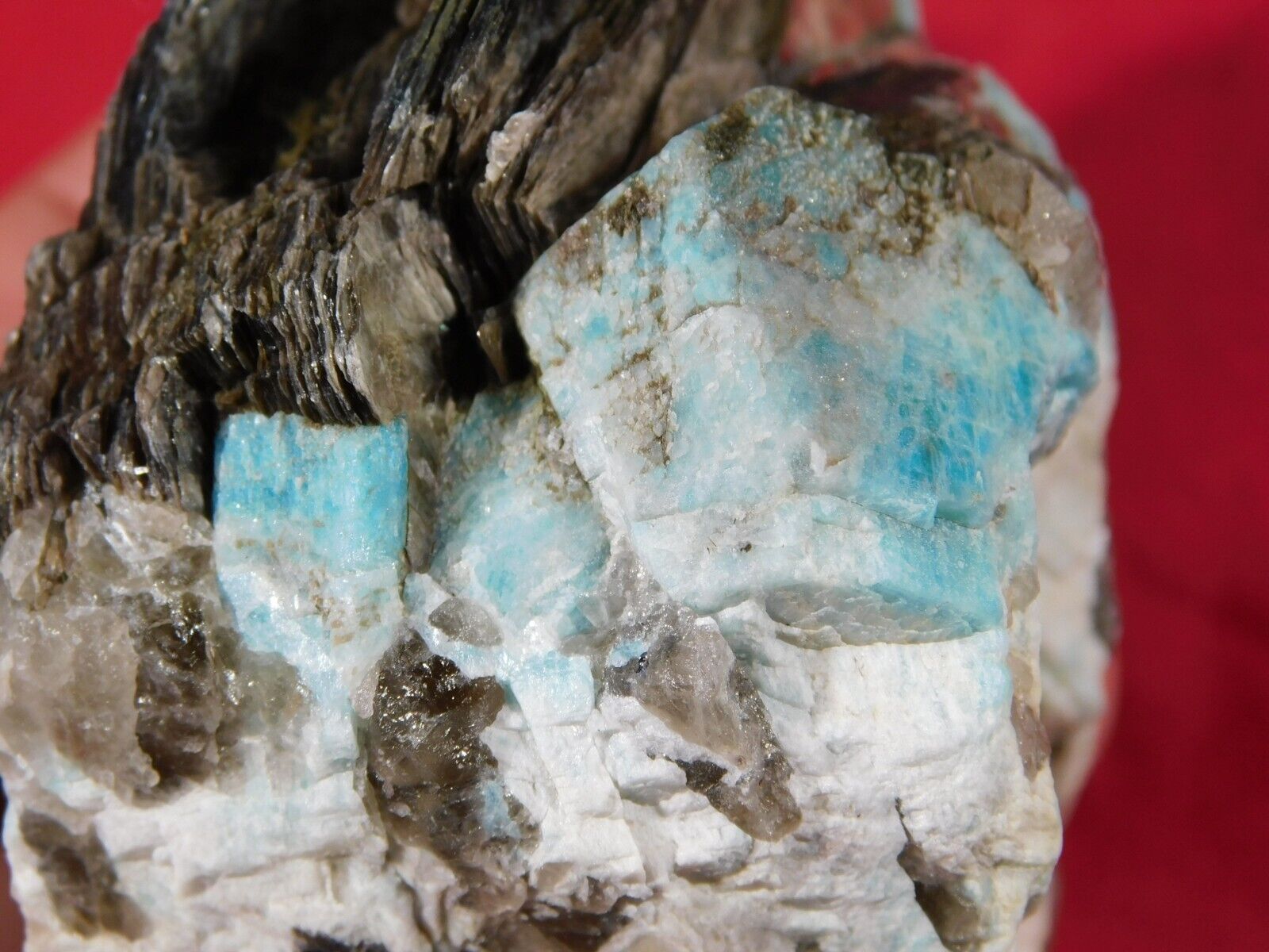 BLUE Amazonite Crystals with Smoky Quartz Zinnwaldite and Albite Colorado 345gr