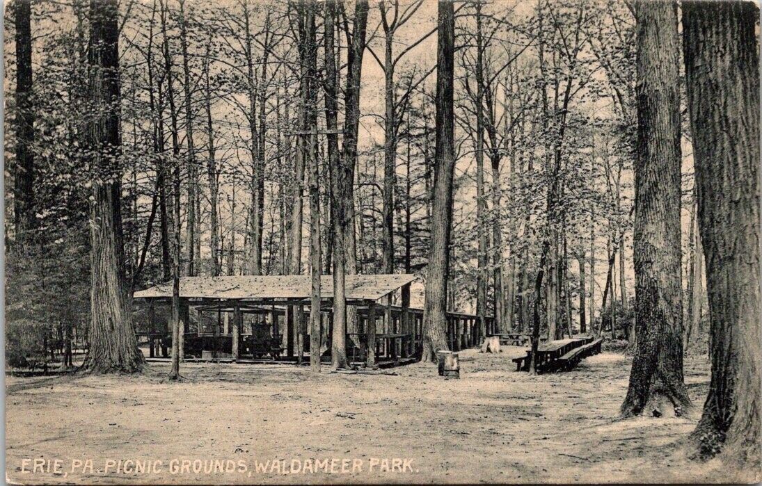 1910 Erie Pennsylvania Waldameer Park Picnic Grounds RPPC Postcard