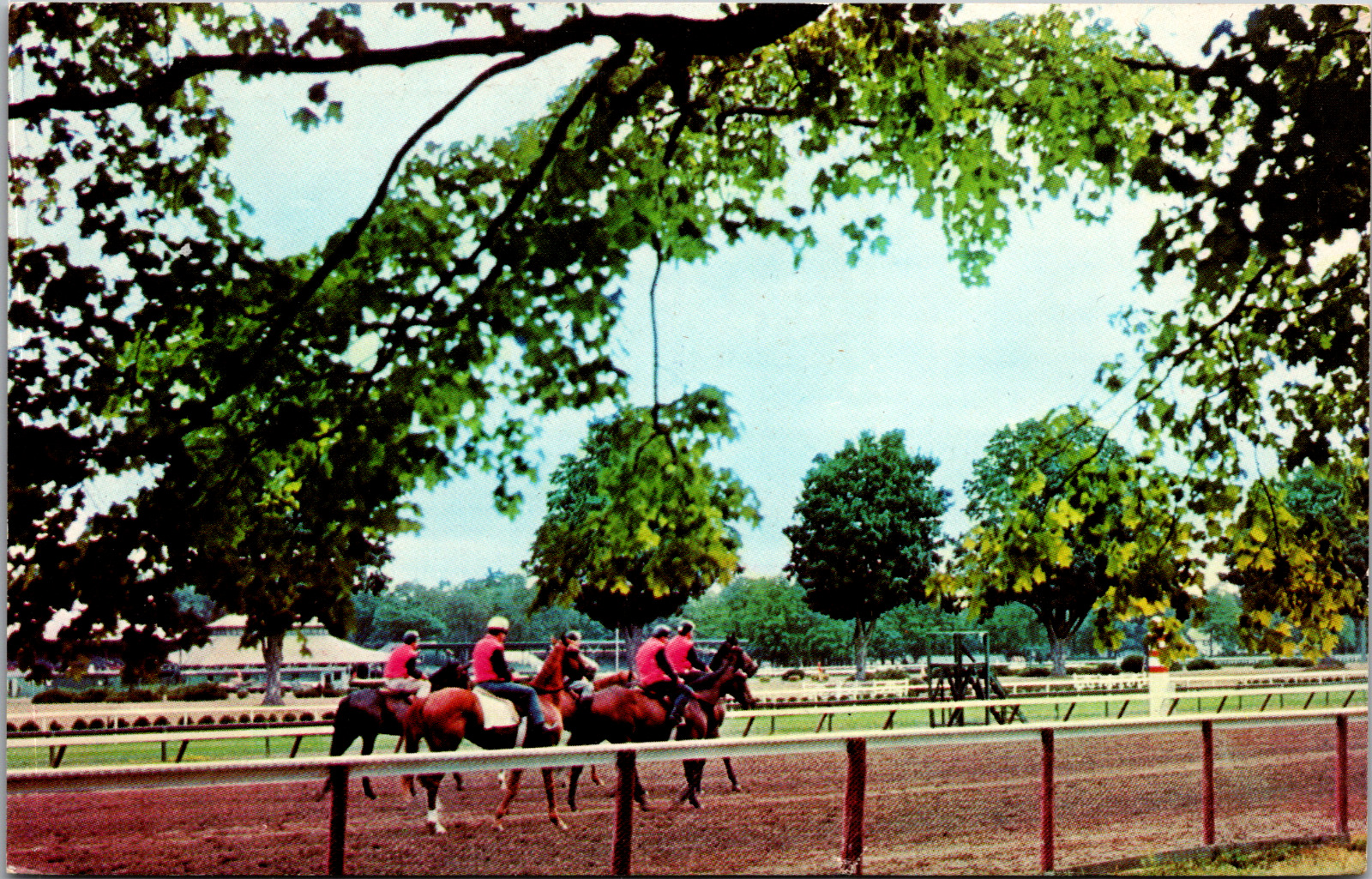 Vintage C. 1966 Saratoga Horse Track Raceway, Jockey Train, New York NY Postcard