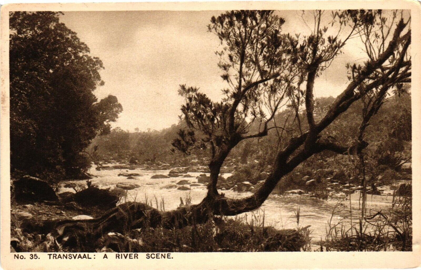 Vintage Postcard- No 35. Transvaal: A River Scene. Unposted 1920