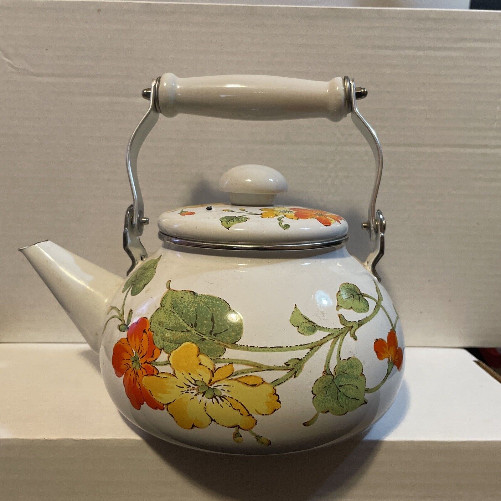 Vintage Gailstyn-Sutton Porcelain Enamel Teapot Kettle Foliage Pattern