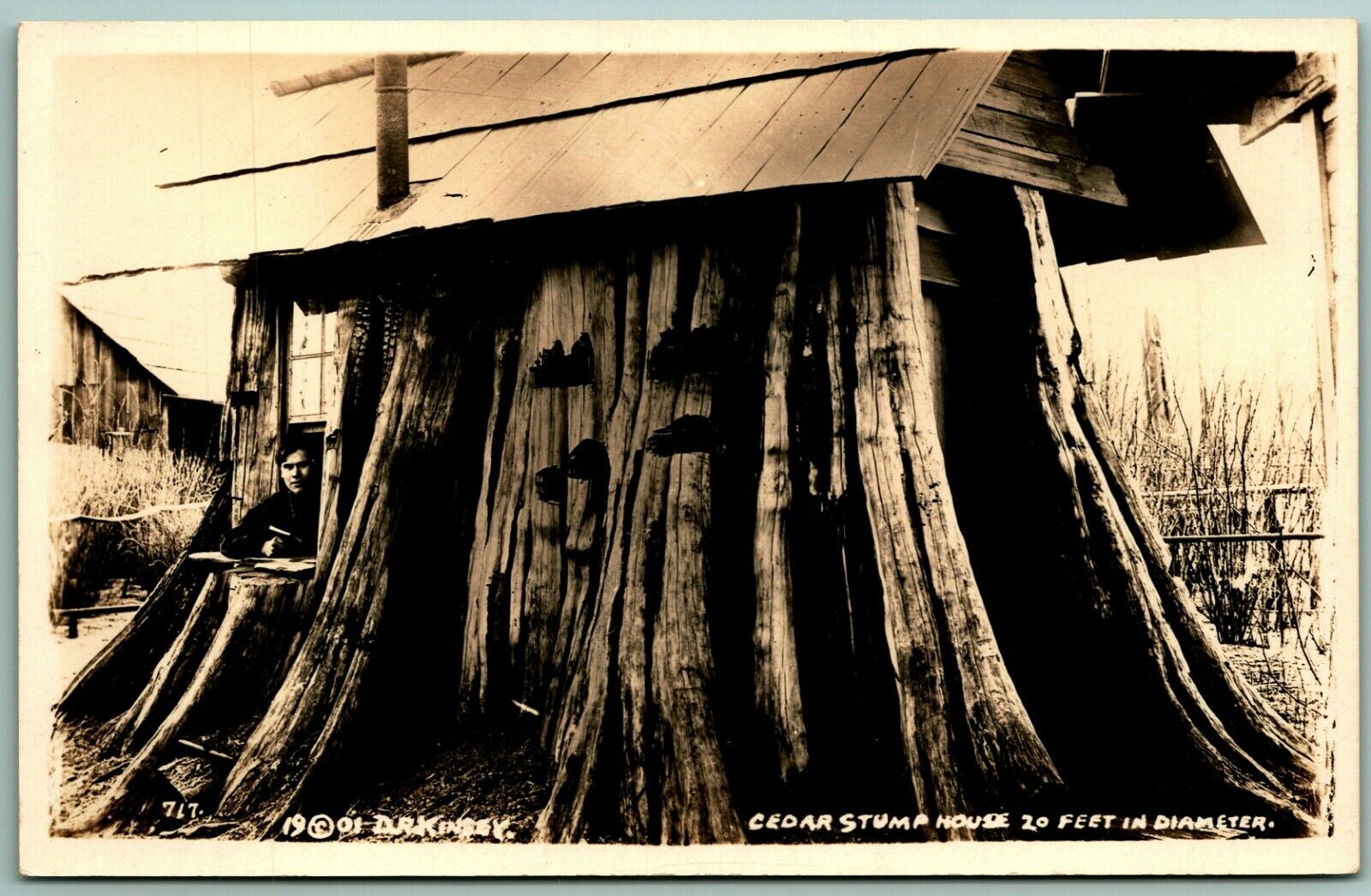 RPPC Cedar Stump House Everett Washington WA UNP AZO Postcard Kensey Photo C15
