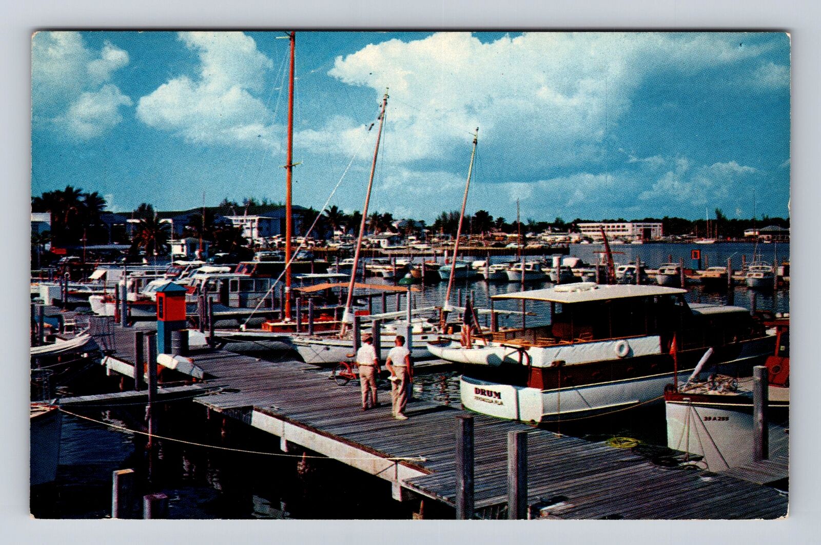 Miami FL-Florida, Yacht Basin, Coconut Grove, Antique Vintage Souvenir Postcard