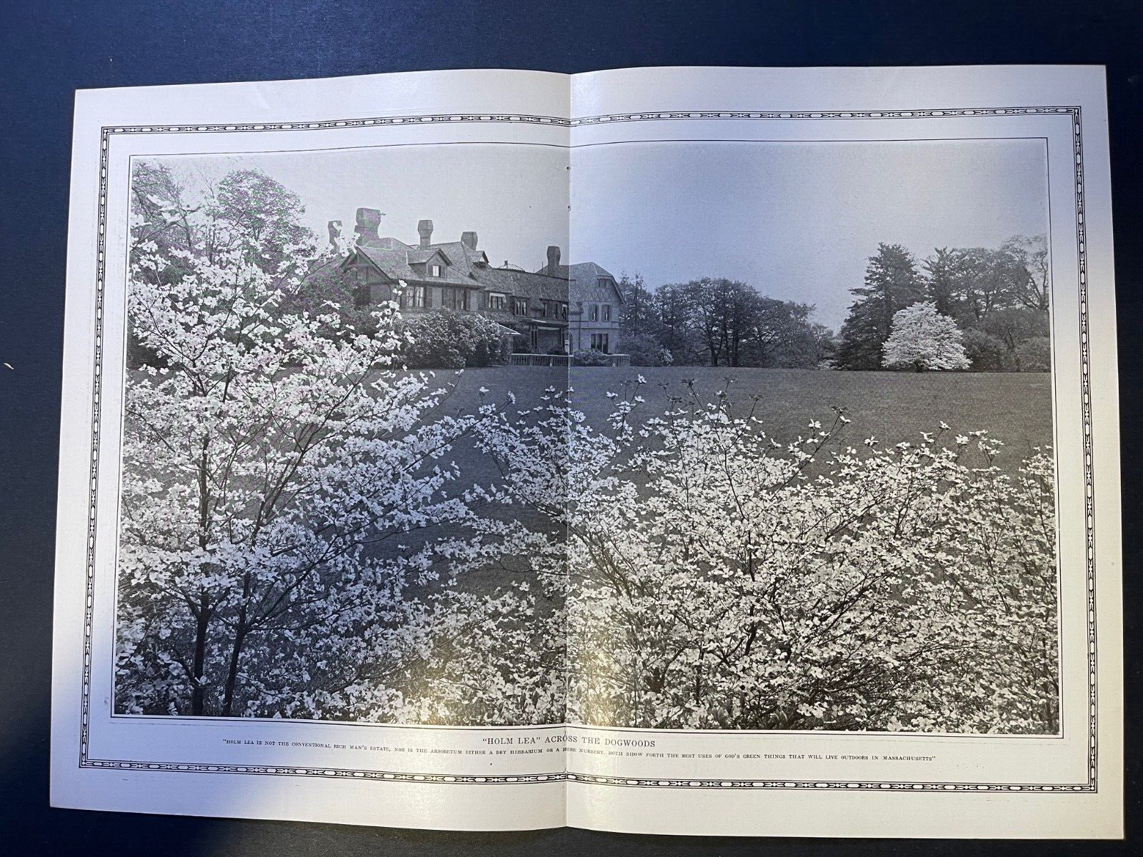 1914 Charles Spring Sargent Holm Lea Garden