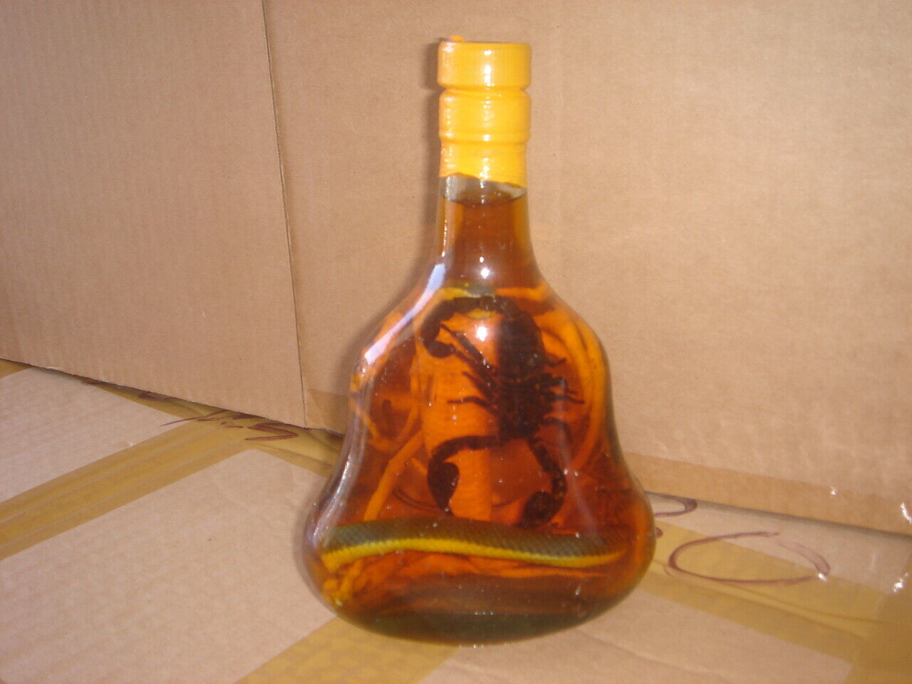 real cobra snake and a scorpion in a large X O glass bottle 7\