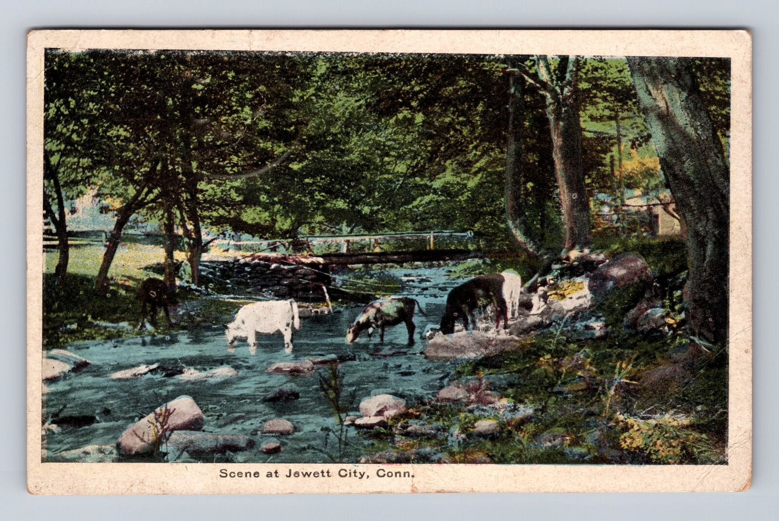 Jewett City CT-Connecticut, Scenic View, Cows In Creek, Vintage Postcard