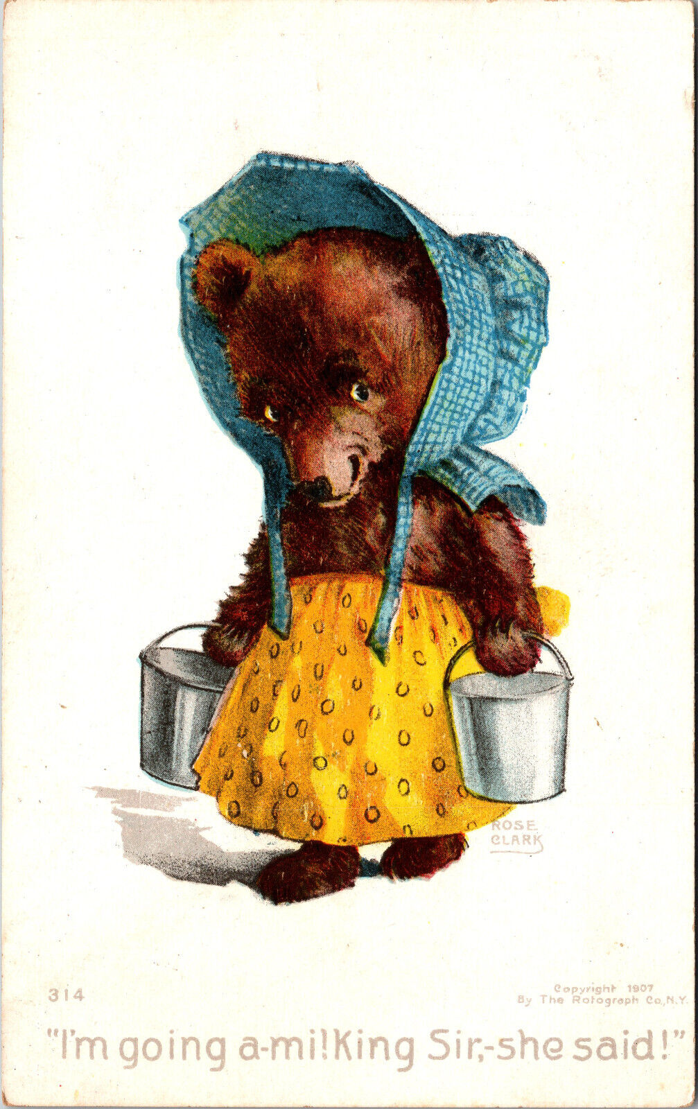 Bear Milk Bonnet Anthropomorphic Rose Clark Rotograph Co Posted Antique Postcard