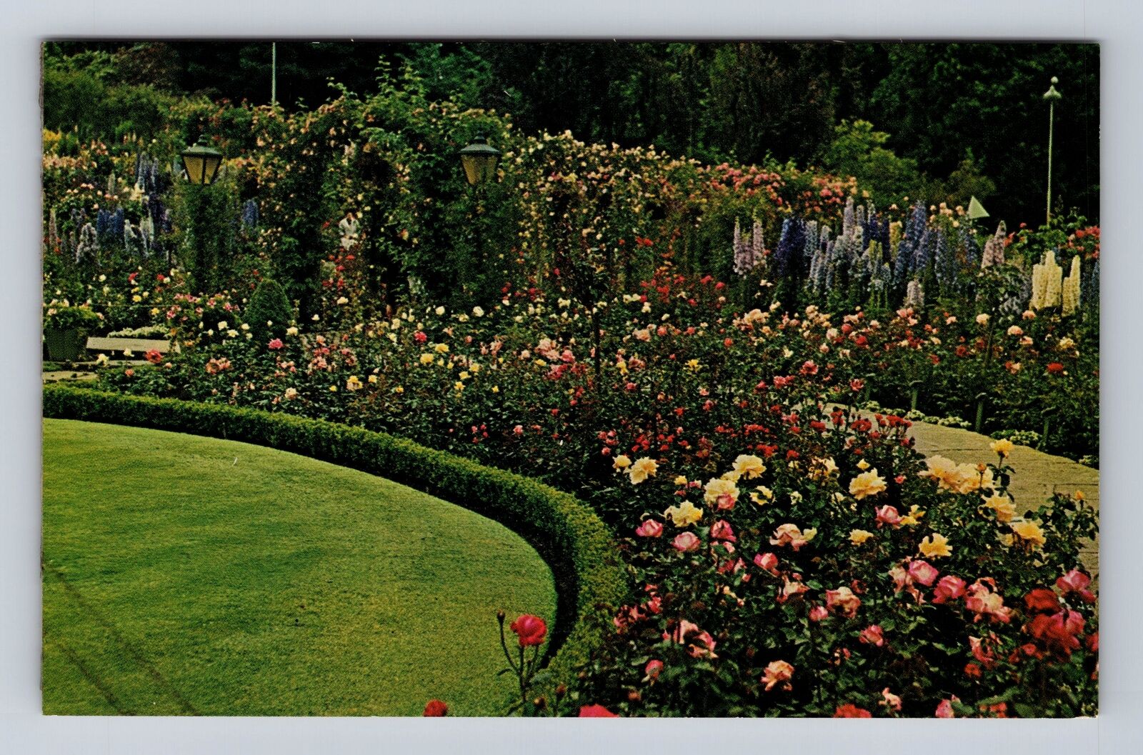 Victoria BC-British Columbia Canada Butchart Garden Rose Garden Vintage Postcard