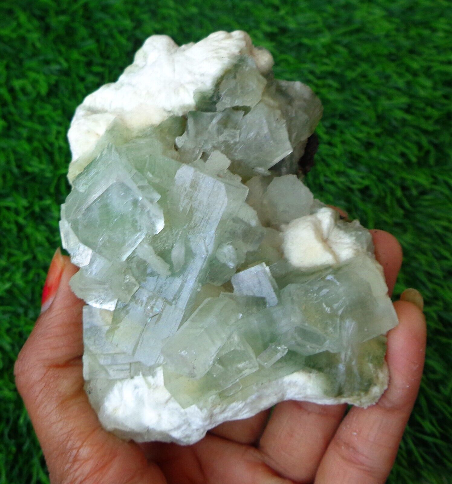 Green Apophyllite Crystals w/ Mordonite Minerals Specimen #F64