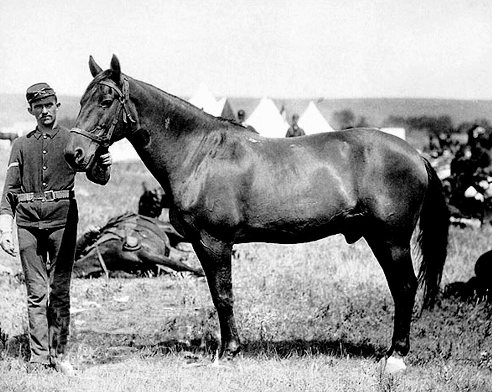 1876 LONE SURVIVOR OF CUSTER\'S LAST STAND Historic Picture Photo 5x7