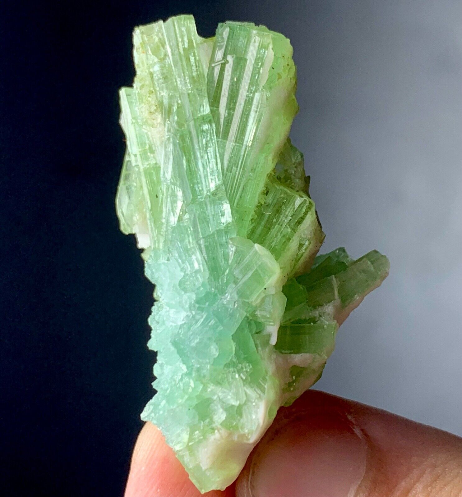 73 Carat Bunch of Tourmaline crystal Specimen  from Afghanistan