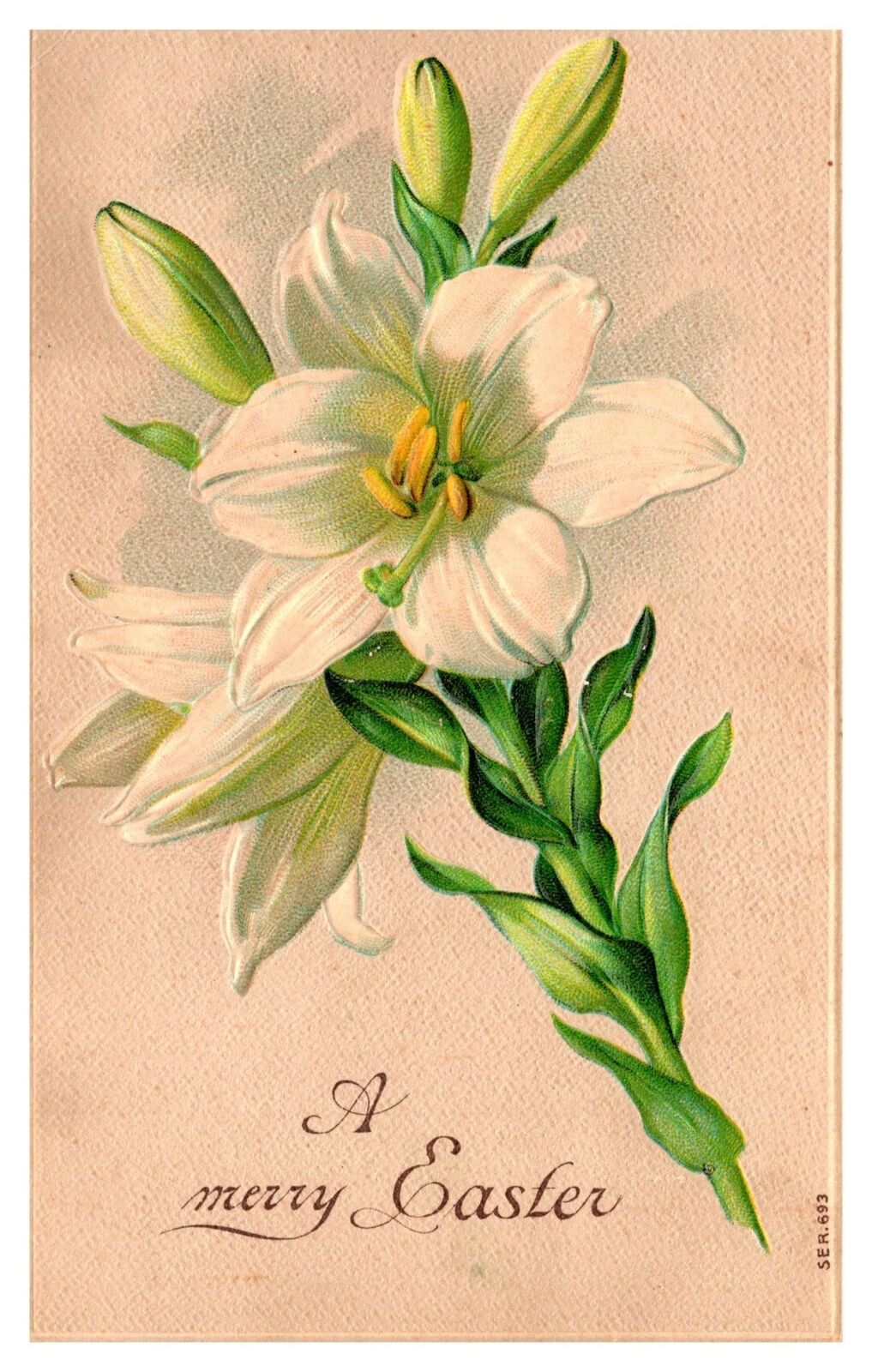 Antique Postcard Easter Embossed Germany 1900s Lily Flower Divided Back Posted