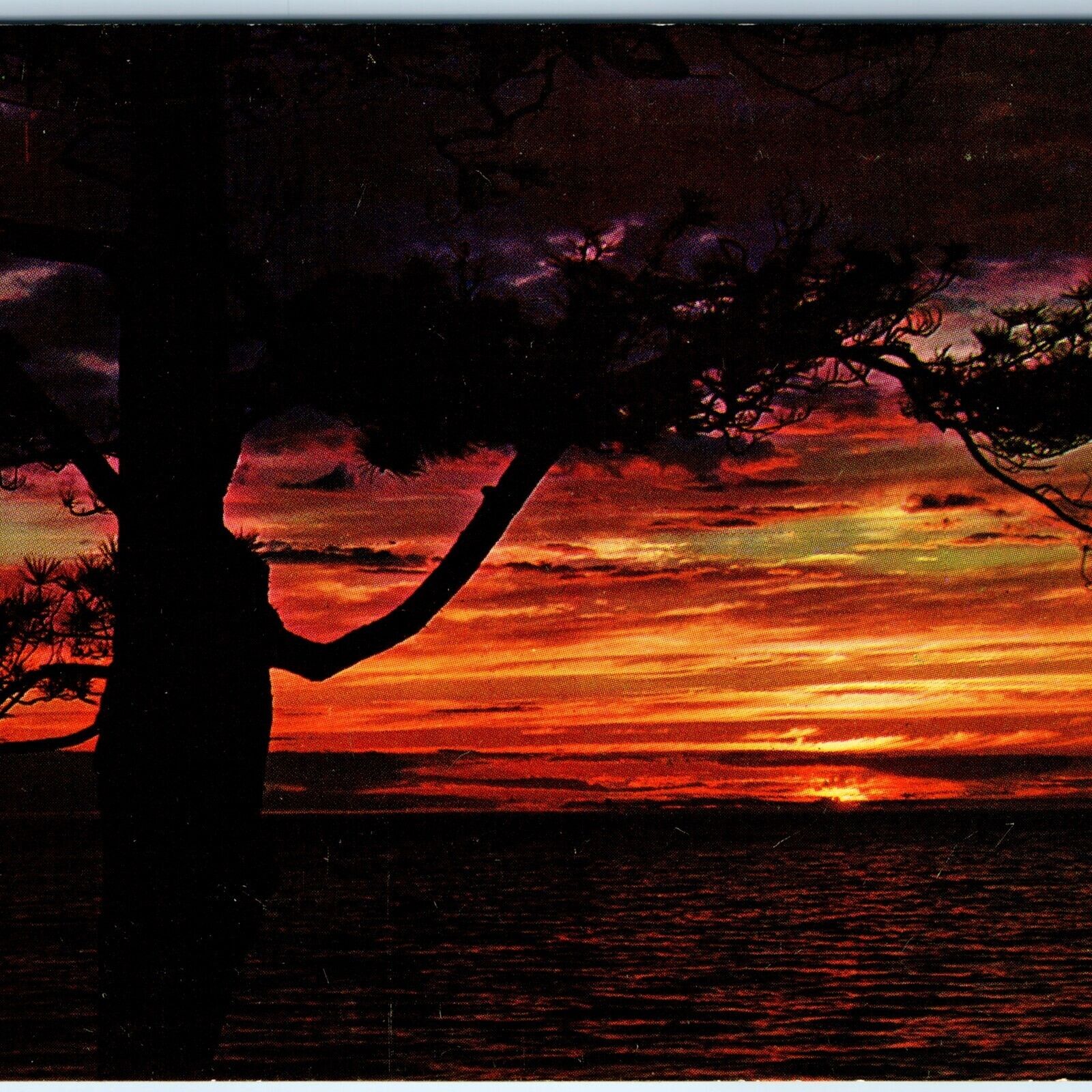 c1960s Prince Albert, Saskatchewan, Canada Greetings Postcard Sunset Waters A74