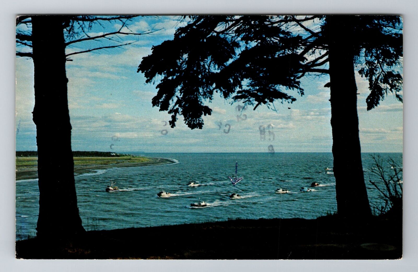 AK-Alaska, Fishing Fleet Returns, Salmon Fishing Boats, Vintage c1977 Postcard