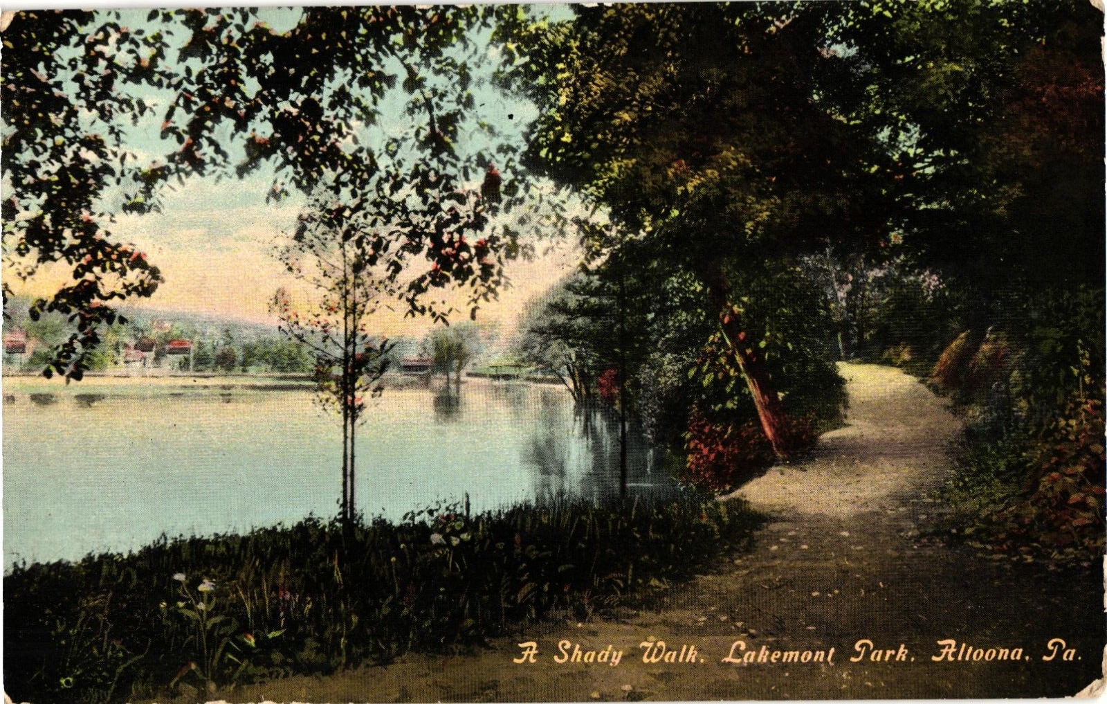 A Shady Walk Lakemont Park Altoona Pennsylvania Divided Postcard Posted 1911