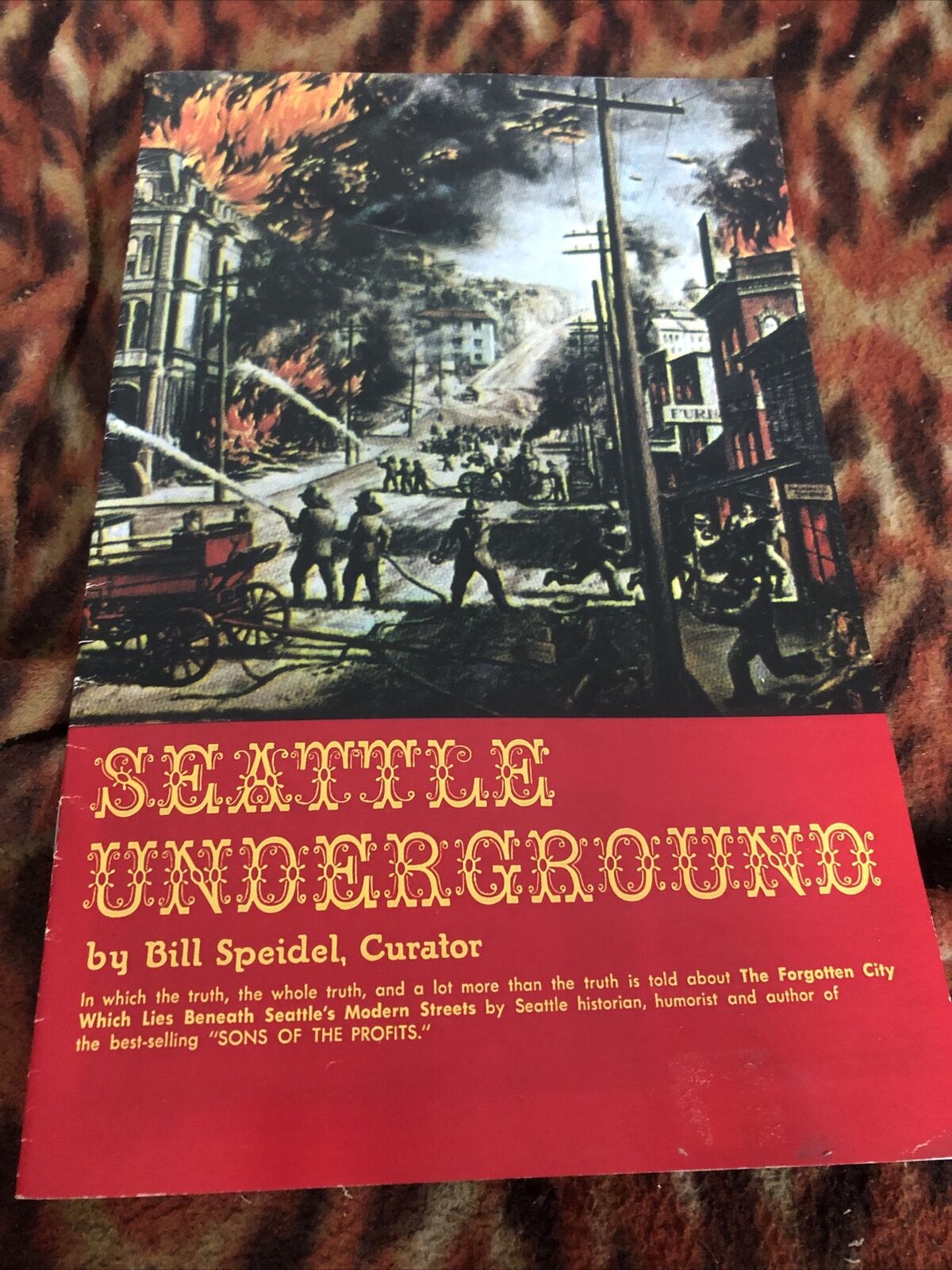 Vintage Seattle Unground Hidden City Mystery Tours Fire Flooding Tartaria Good