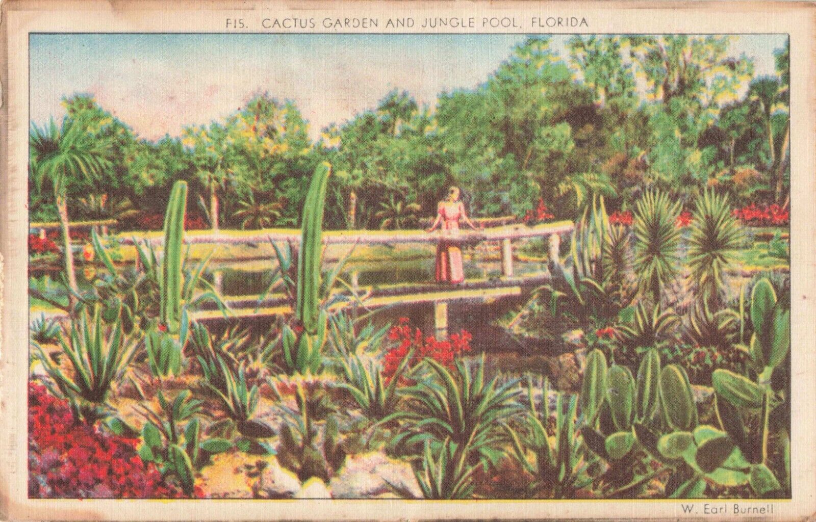 Sarasota Florida, Cactus Garden & Jungle Pool, Woman on Bridge, Vintage Postcard
