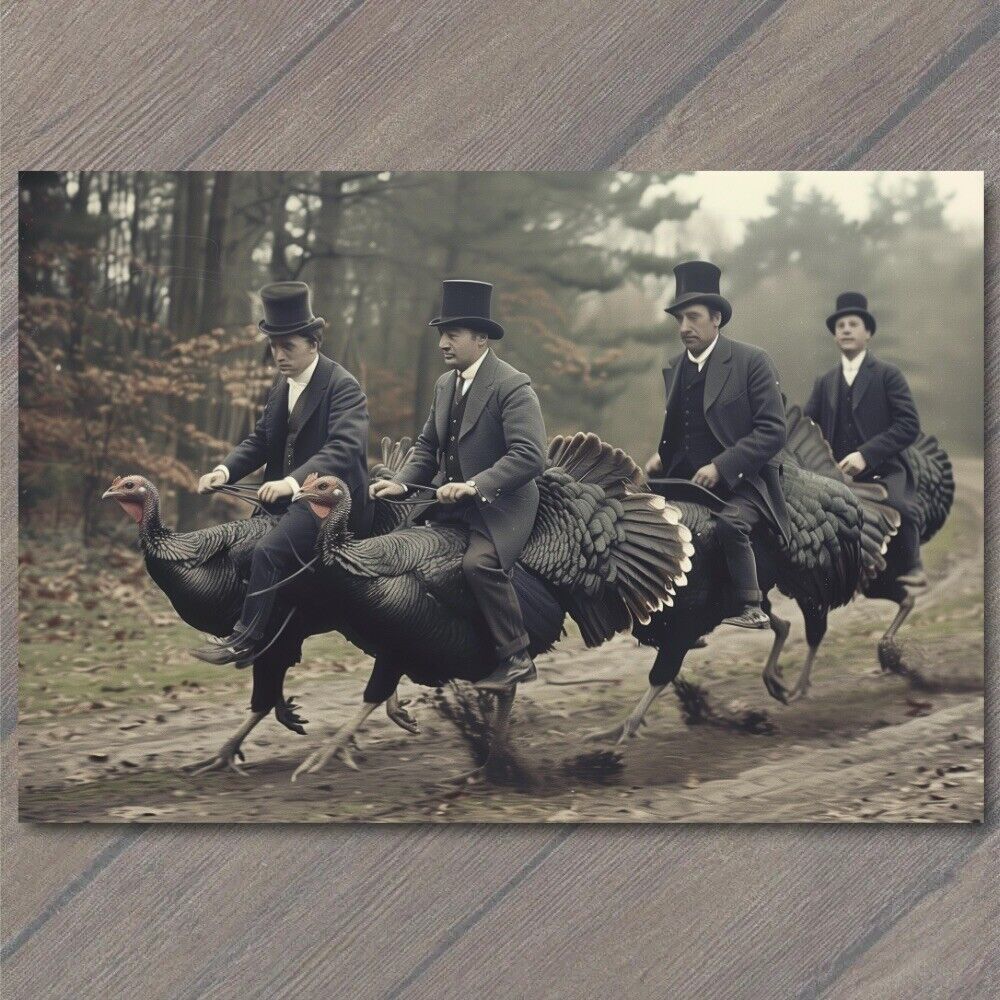 POSTCARD Turkey Riding Men Top Hat Old School Vibe Weird Strange Funny Race