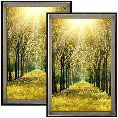 2 Pack 11x17 Black Picture Frame for Landscape/Portrait Photo Wall Mounting 