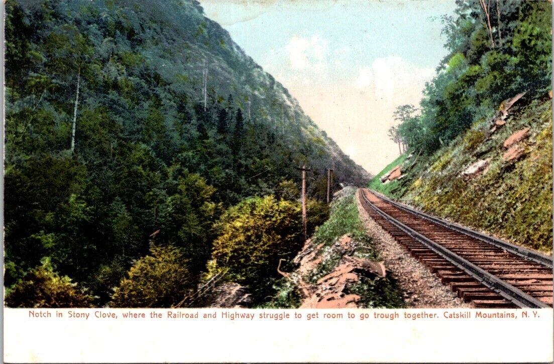 New York Catskill Mountains Railway Notch Stony Clove Highway Vintage Postcard
