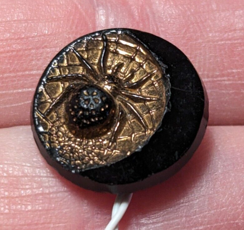 Vintage Spider Glass Button Black Gold Tone Off Center Web