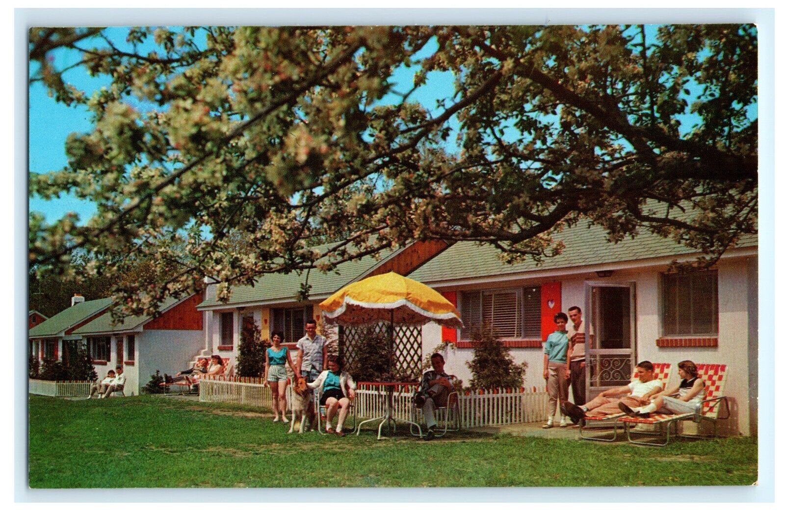 Chestnut Grove Lodge Cottages Swiftwater PA Pennsylvania Postcard (CF3)