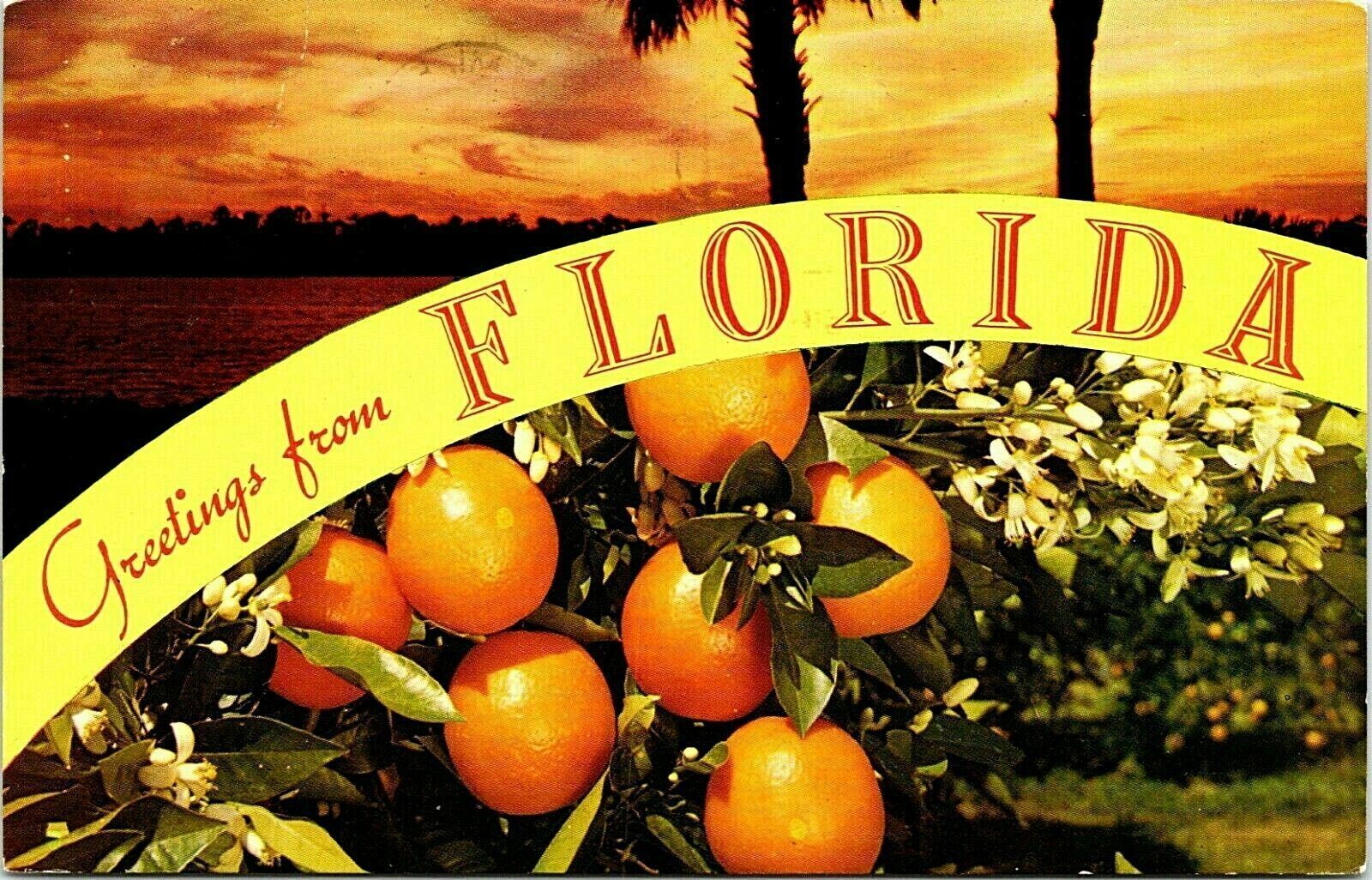 Greetings From Florida  1967