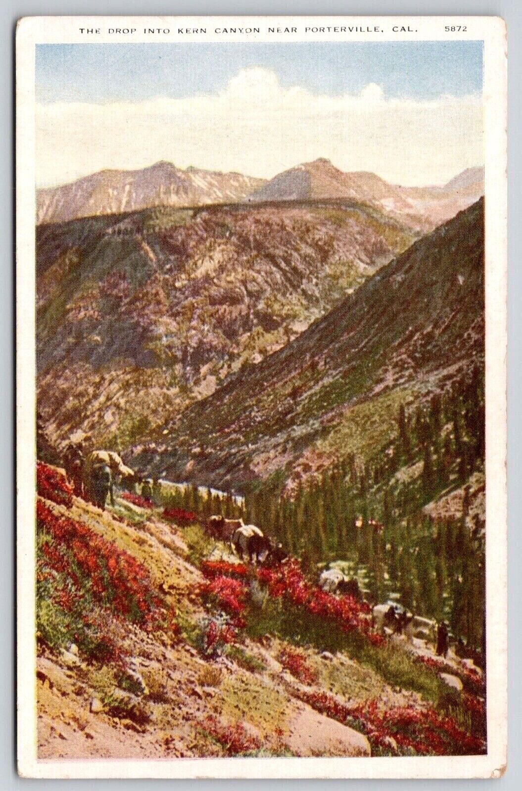 Drop Kern Canyon Porterville California Cal CA Mountains Vintage UNP Postcard