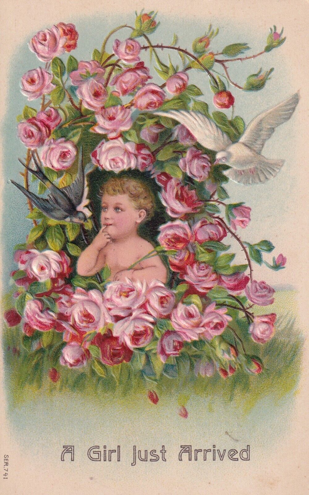 Vintage A Girl Just Arrived Postcard Early 1900\'s Baby Birth Announcement Dove