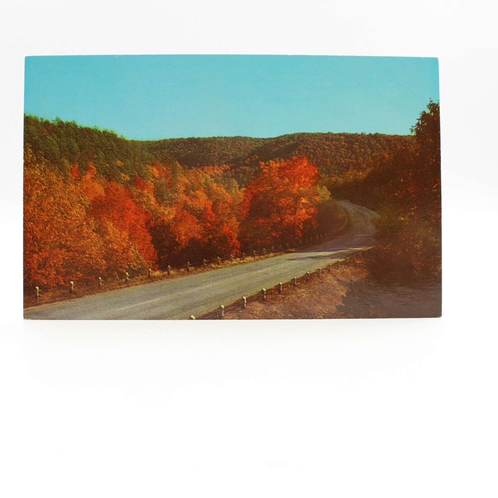 Postcard Beautiful Autumn Scene in the Ozarks USA Unposted Postcard