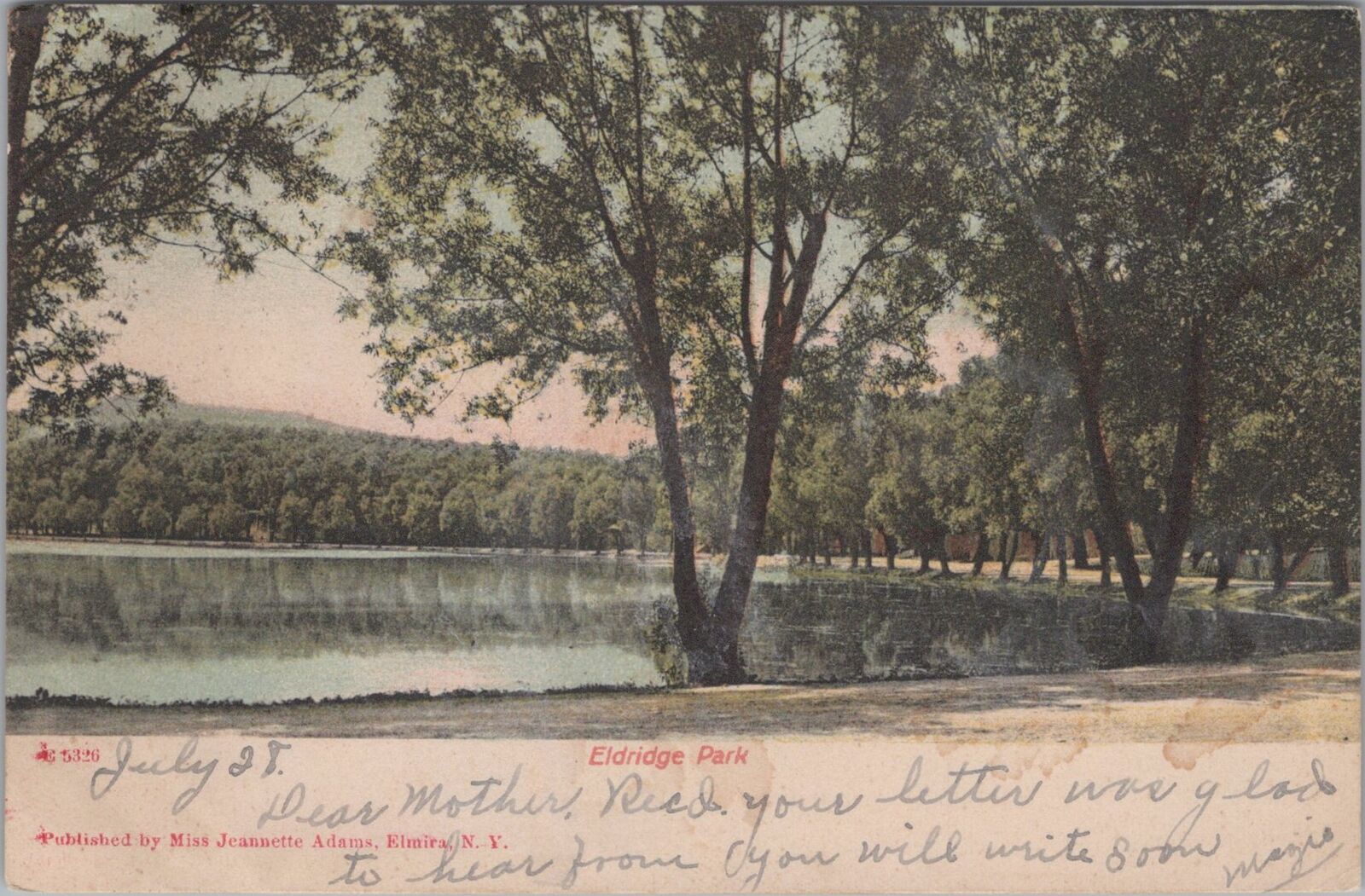 Eldridge Park, Elmira New York 1907 Postcard