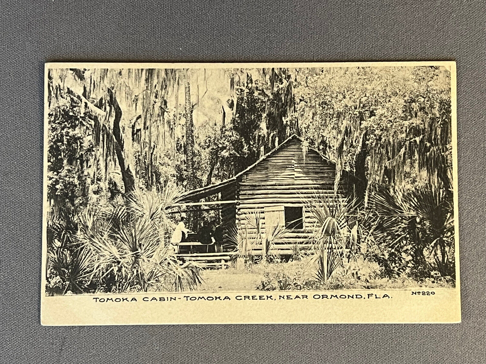 Florida, FL, Ormond, Tomoka Log Cabin, Tomoka Creek, ca 1905