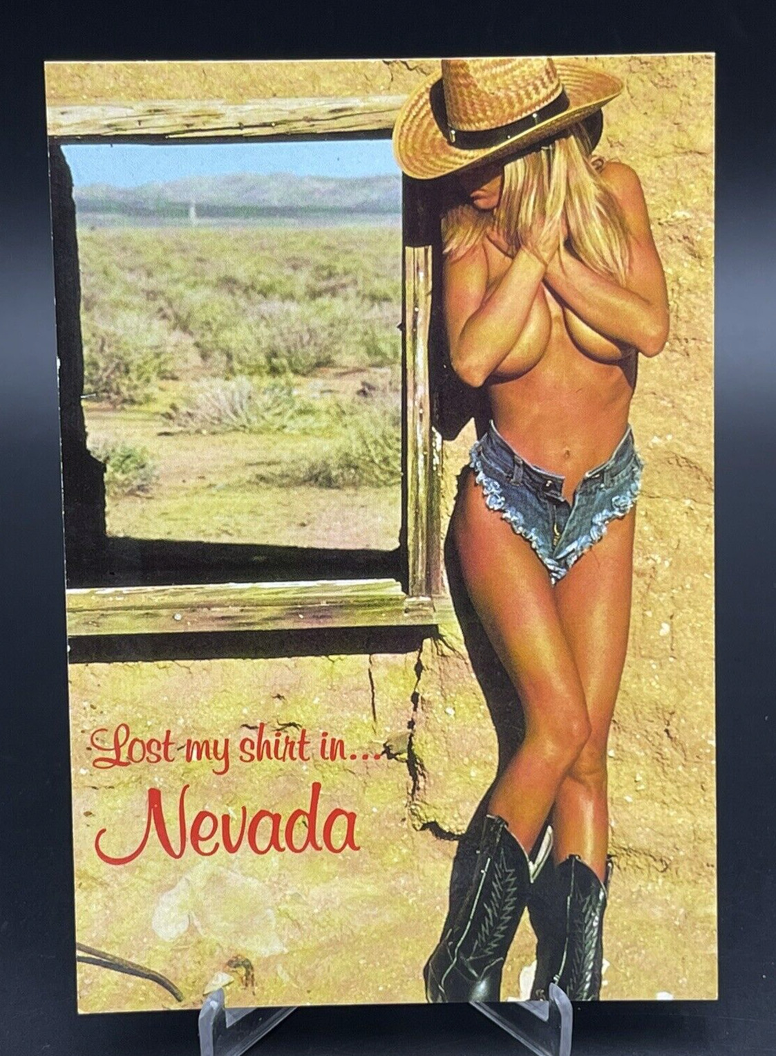 Vintage Nevada Postcard \