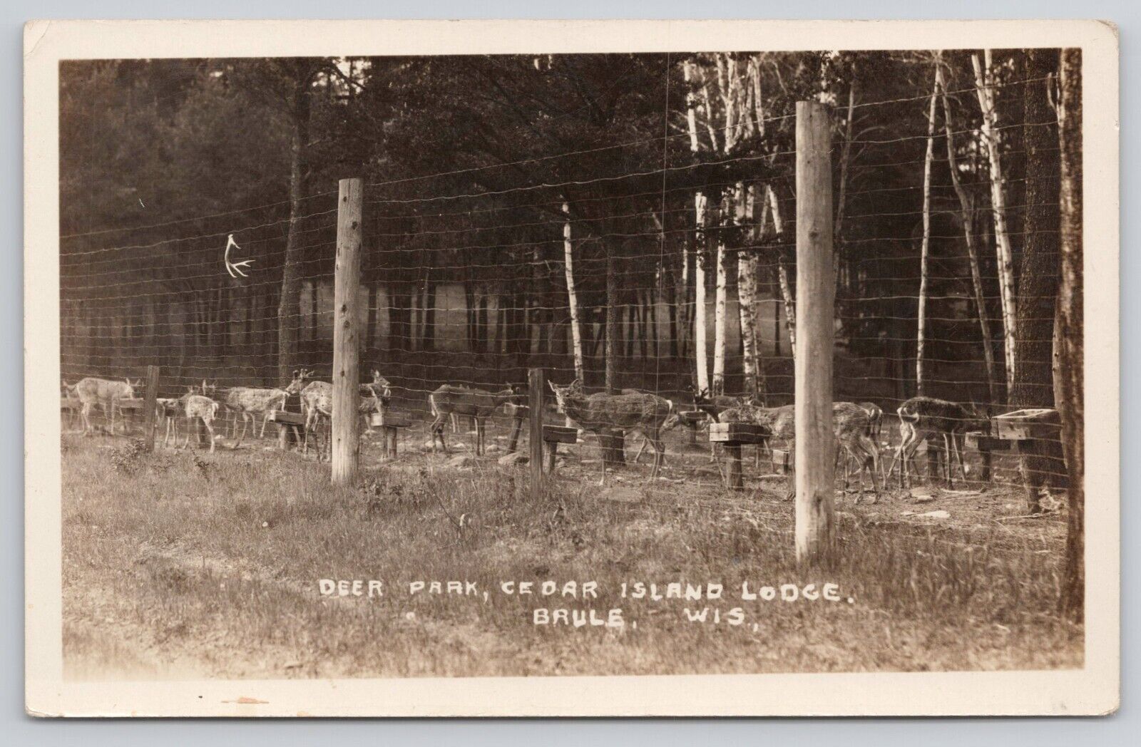 Deer Park Cedar Island Lodge Brule Wisconsin RPPC Postcard