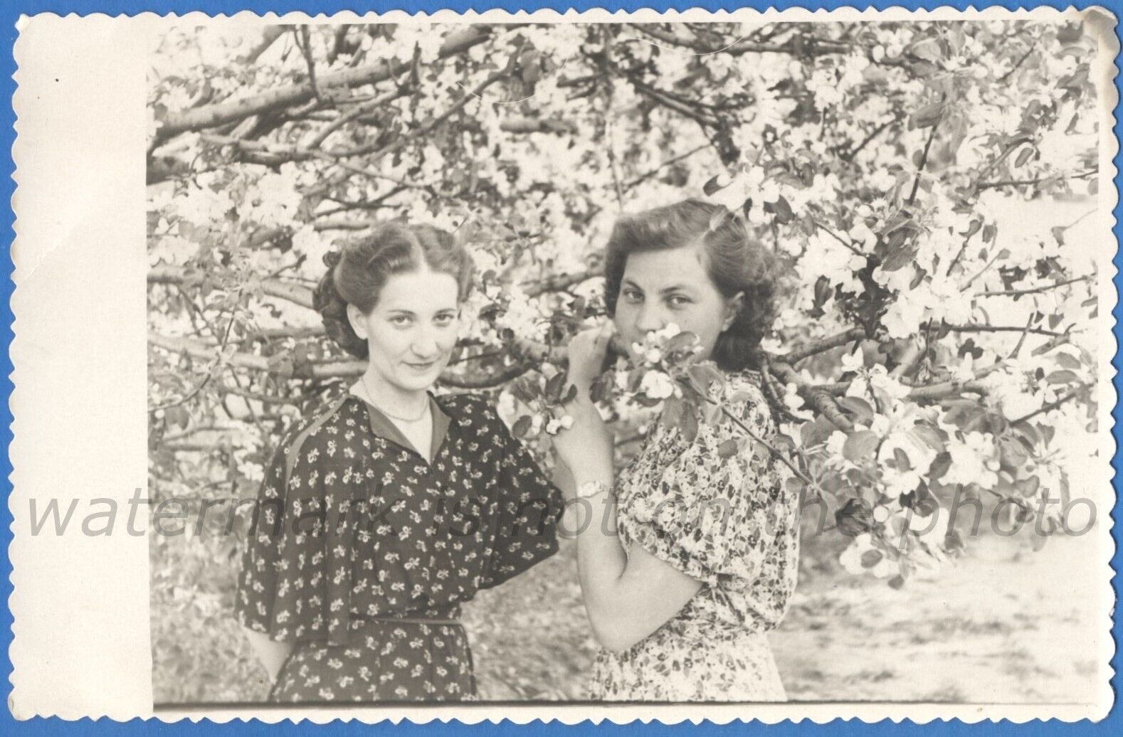 Portrait of two beautiful women Braided hair Vintage photo