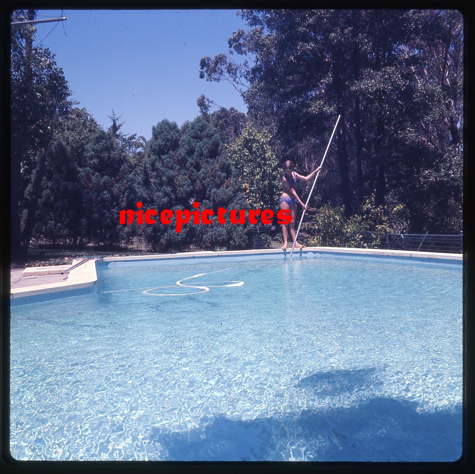 1960s Original slide Girl cleaning swimming pool