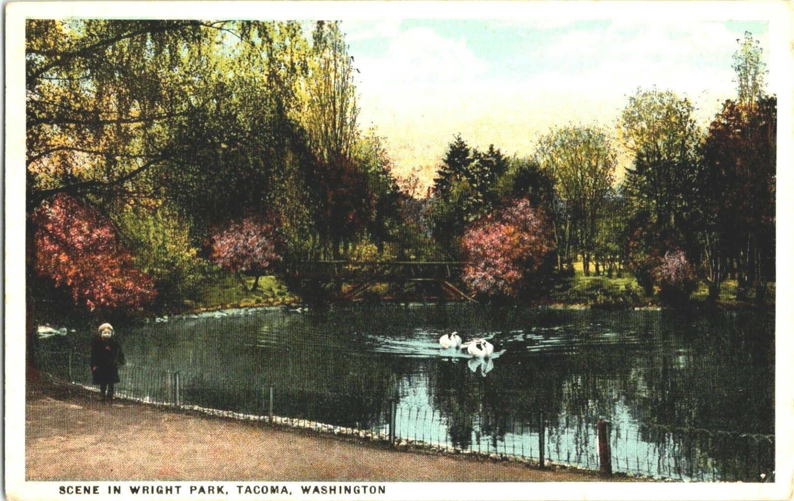 Postcard 1921 Scene Wright Park Tacoma Washington A45